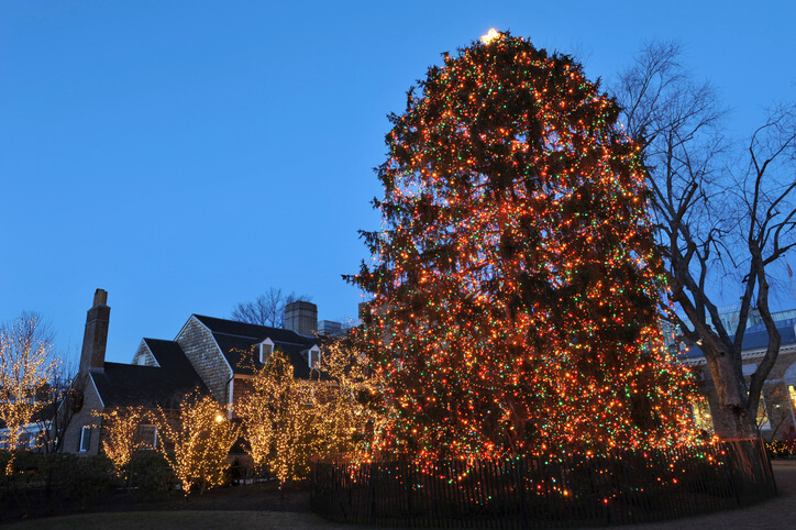 Princeton New Jersey Tree Lighting