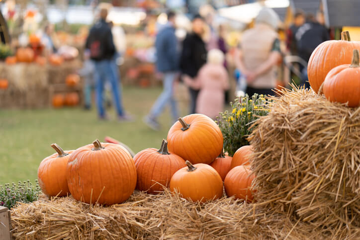 2025 Fall & Winter Events in Mercer County, NJ & Nearby Areas